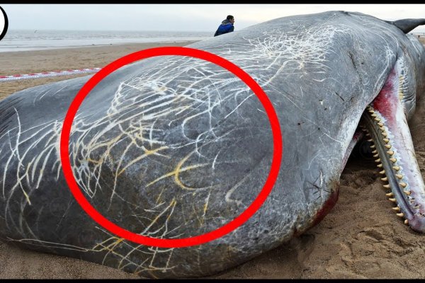 Кракен рынок сайт